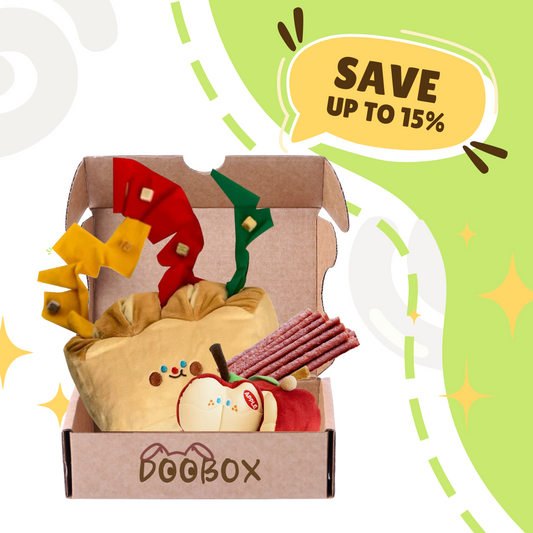 Morning Munchies Box