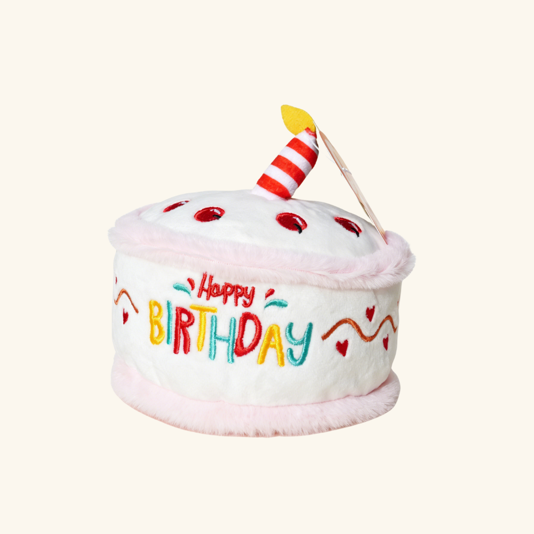 Magnum Ice Cream | Soda Cola | Birthday Cake Pet Sniff Toy for Dog & Cat