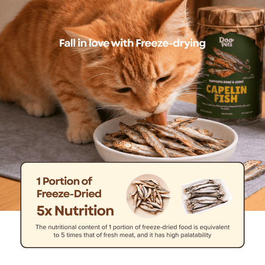 Freeze Dried Capelin Fish