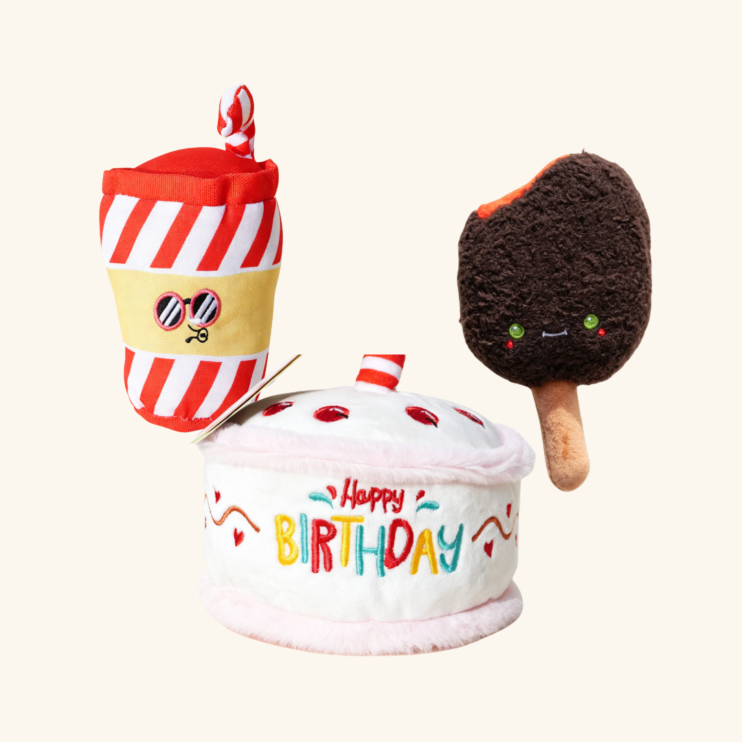 Magnum Ice Cream | Soda Cola | Birthday Cake Pet Sniff Toy for Dog & Cat