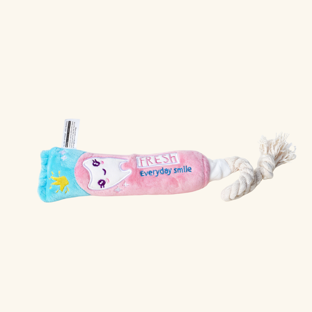 Plush toothbrush Pet Sniff Toy for Dog & Cat