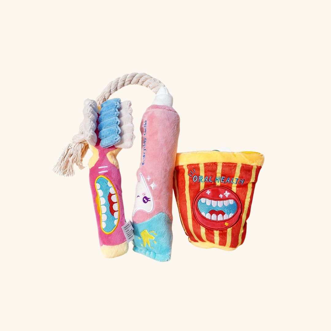 Plush toothbrush Pet Sniff Toy for Dog & Cat