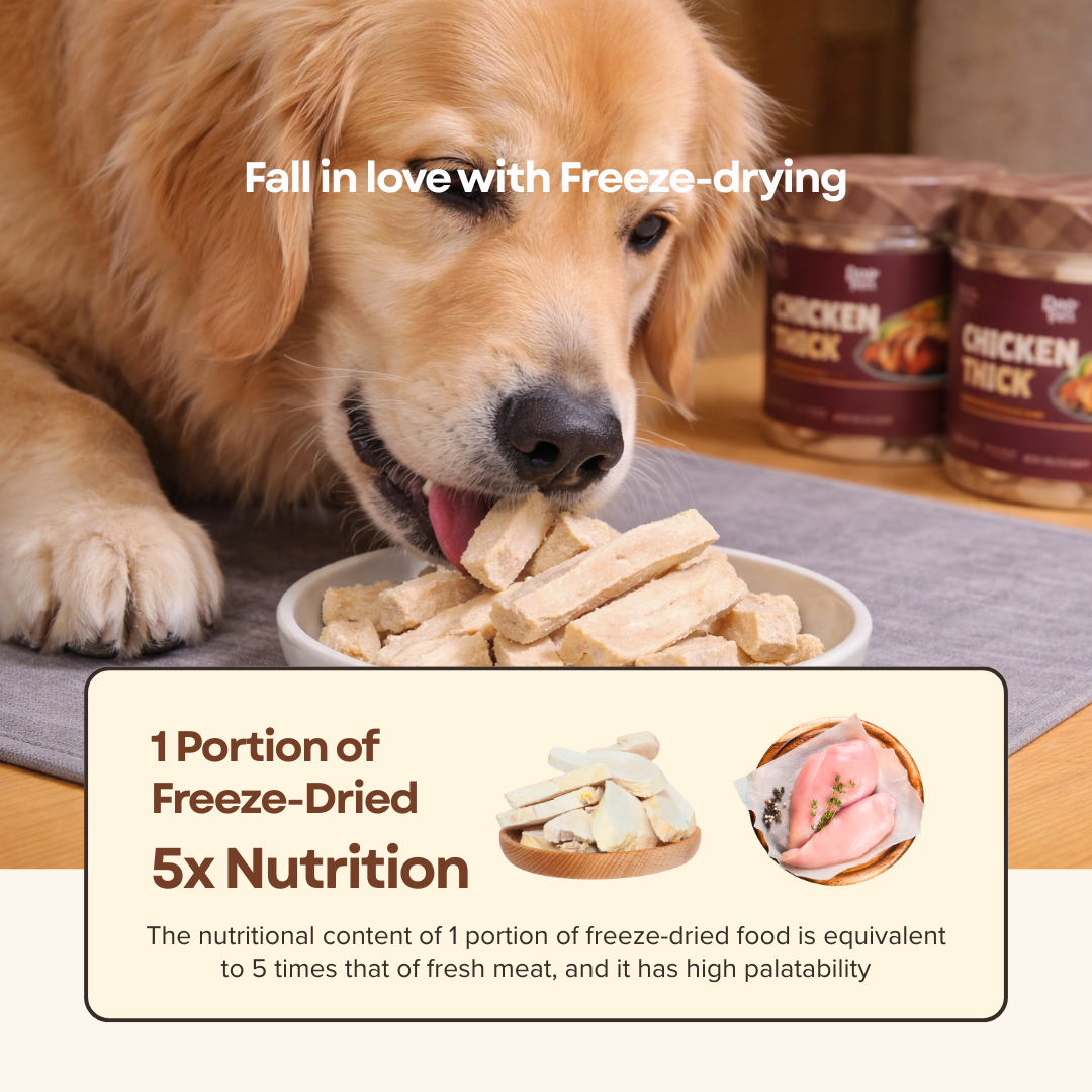 Freeze Dried Chicken Thick Cut