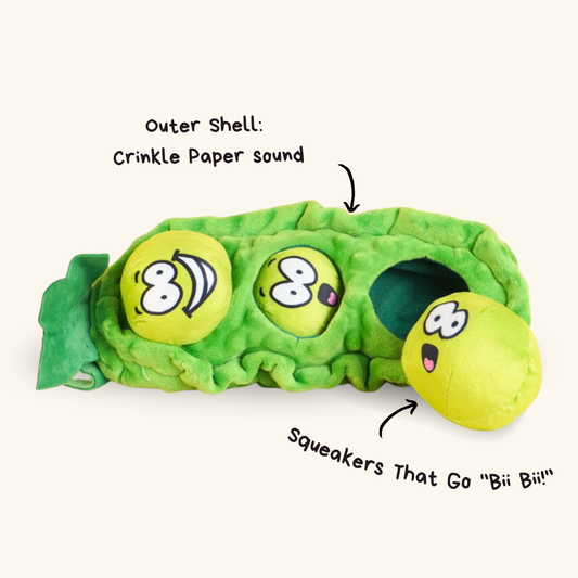 Pea Pocket Snack Pet Sniff Toy for Dog & Cat