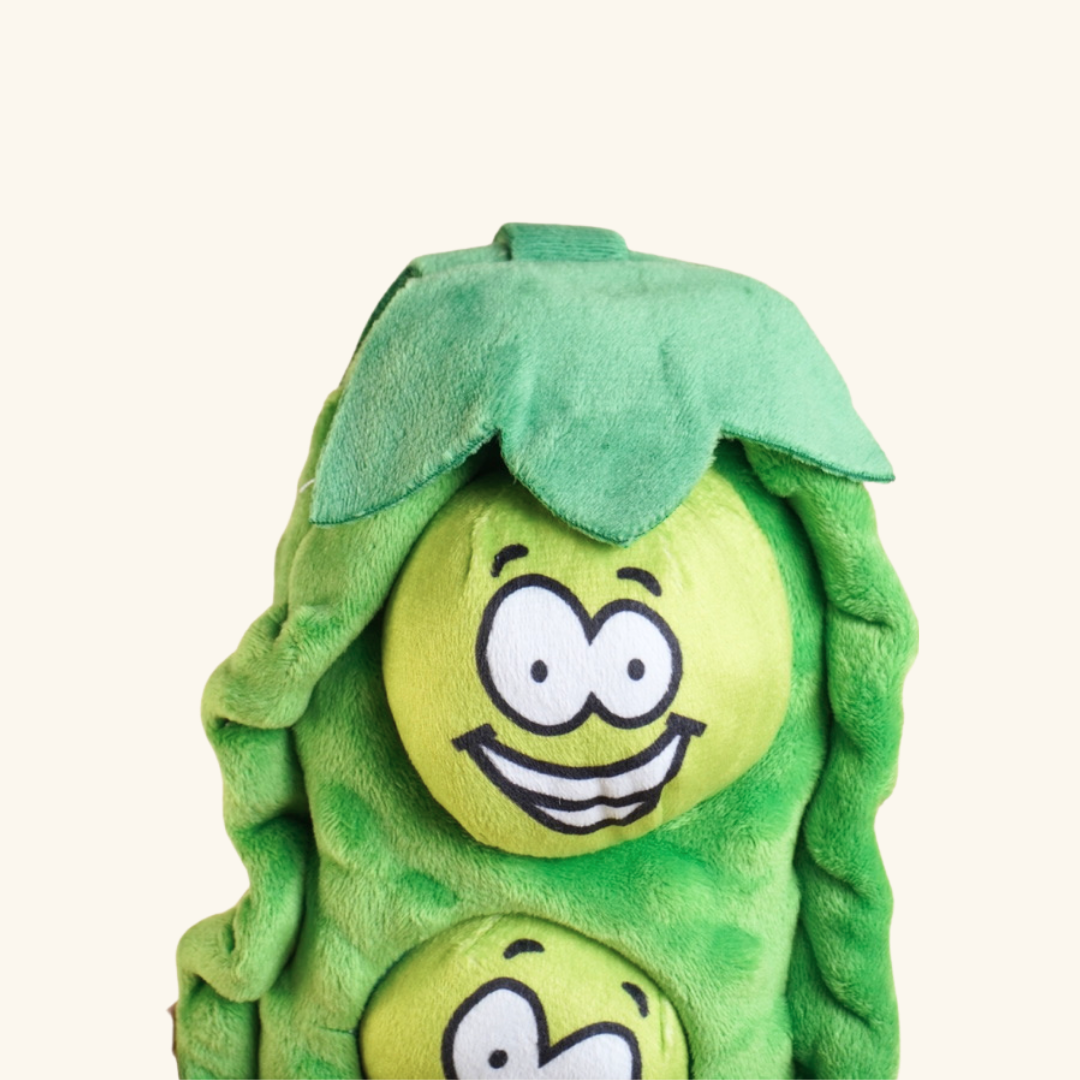 Pea Pocket Snack Pet Sniff Toy for Dog & Cat