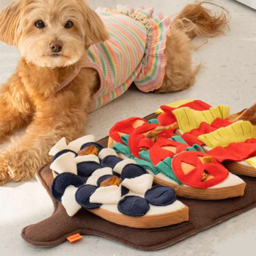 Taco Sniff Toy & Chips Bundle