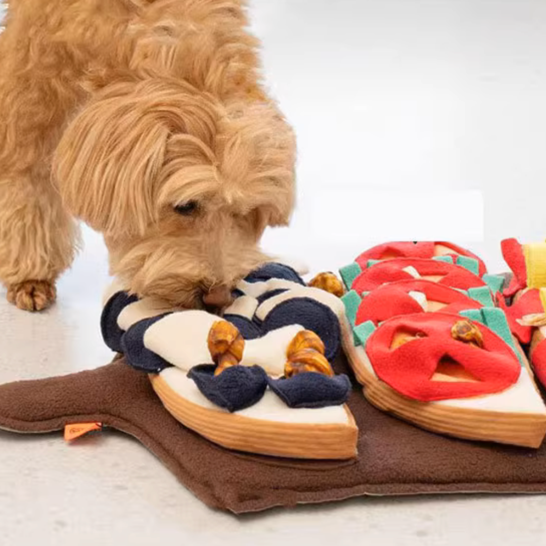 Taco Sniff Toy & Chips Bundle