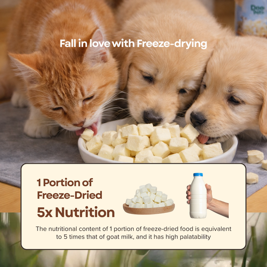 Freeze Dried Goat Milk Cubes