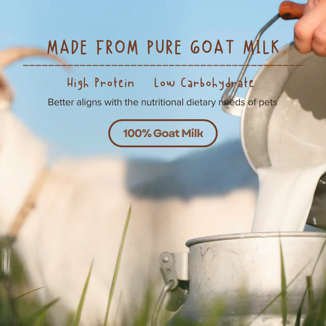 Freeze Dried Goat Milk Cubes