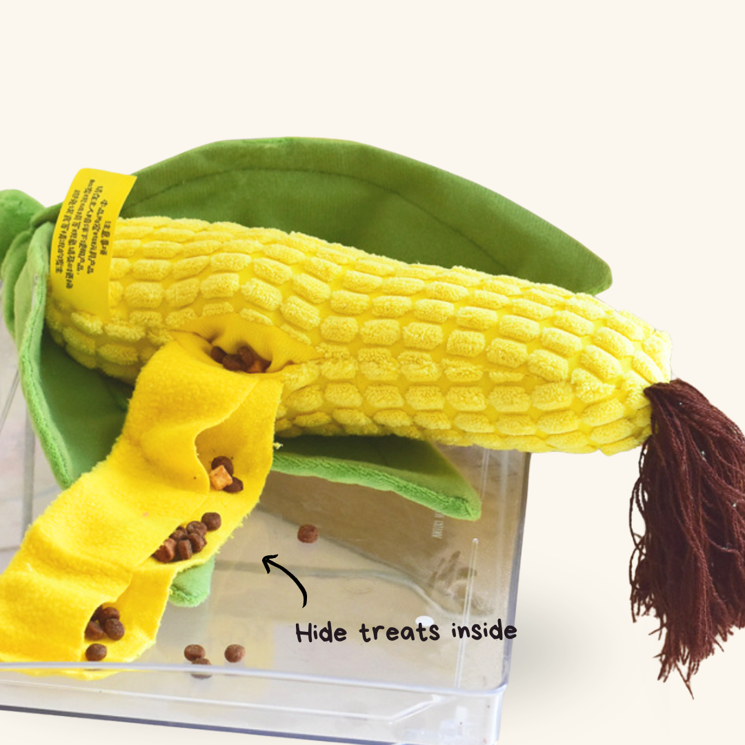 Crunchy Corn Buddy