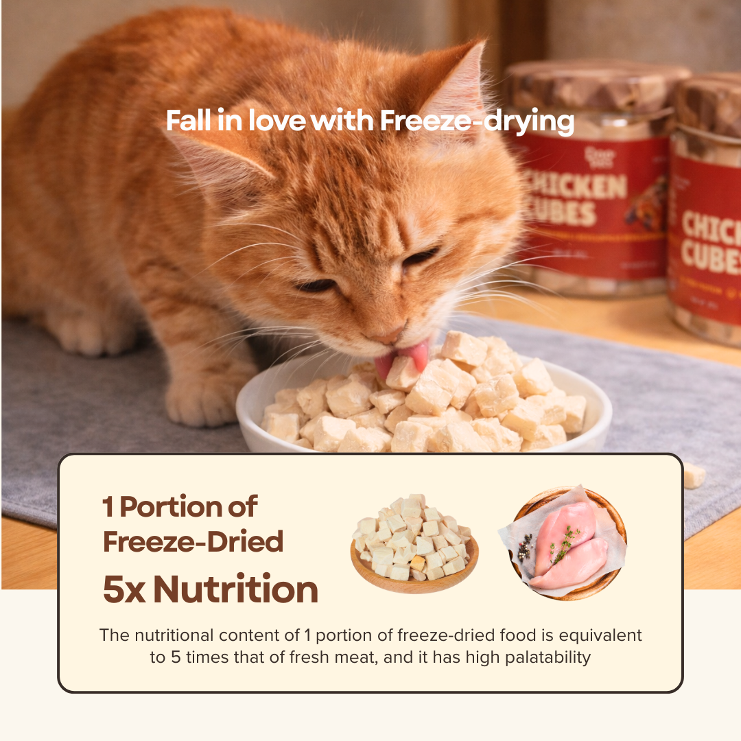 Freeze-Dried Chicken Cubes