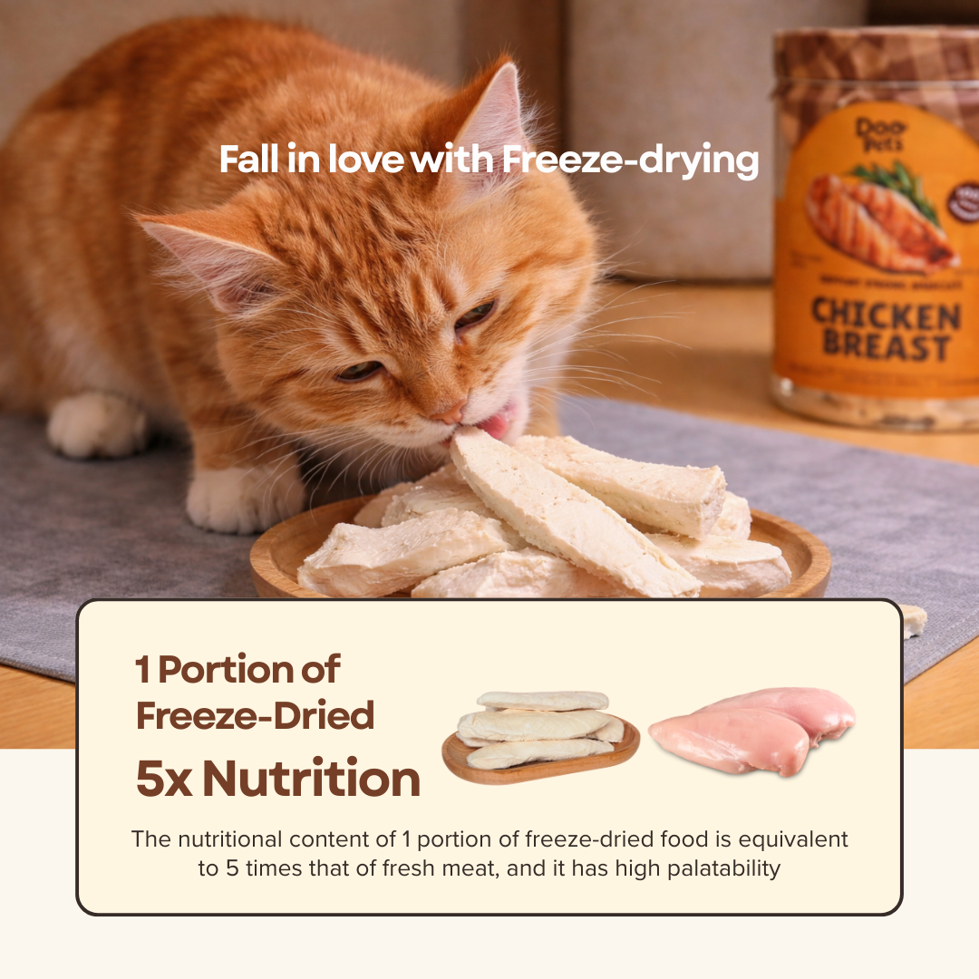 Freeze Dried Chicken Breast