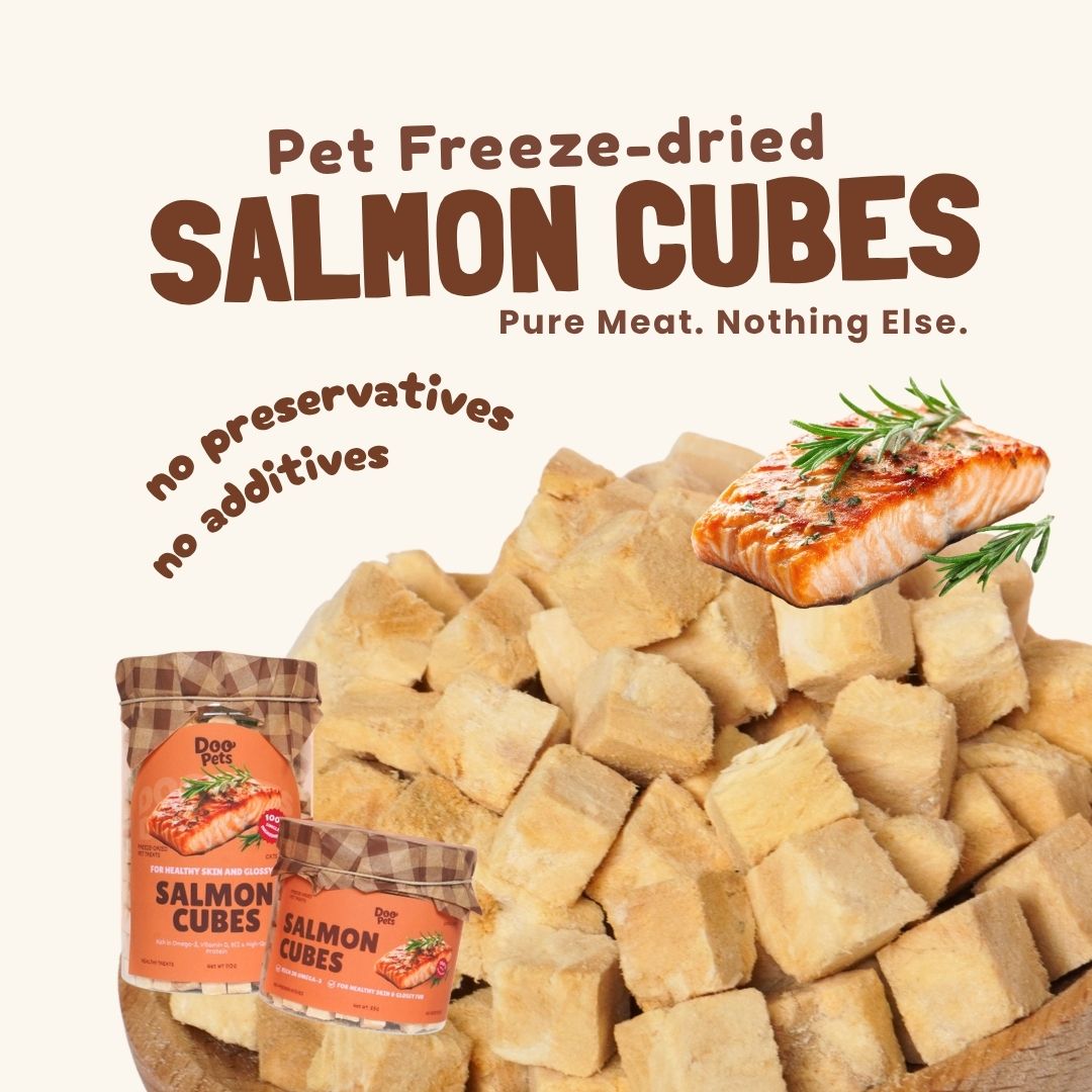 Freeze-Dried Salmon
