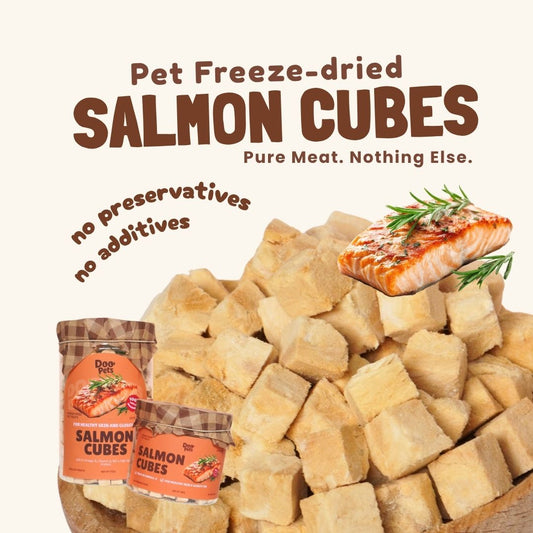 Freeze-Dried Salmon