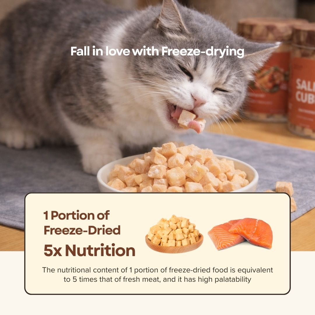 Freeze-Dried Salmon
