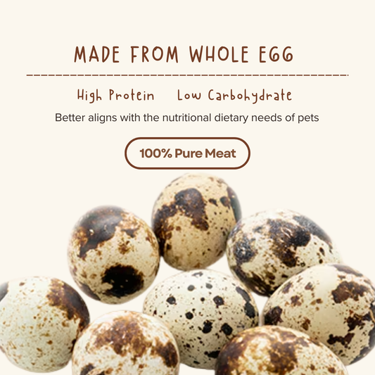 Freeze Dried Quail Egg Yolk