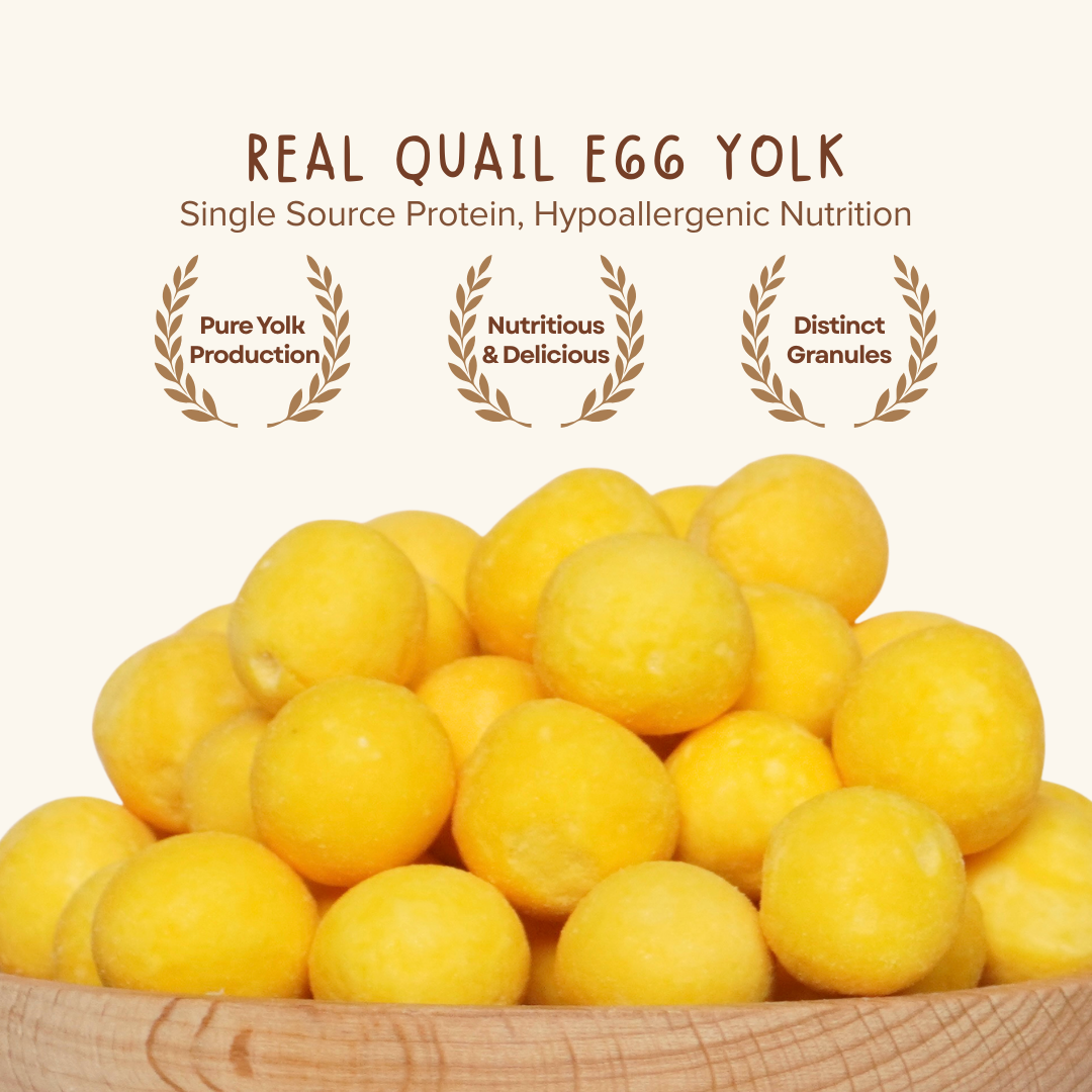 Freeze Dried Quail Egg Yolk