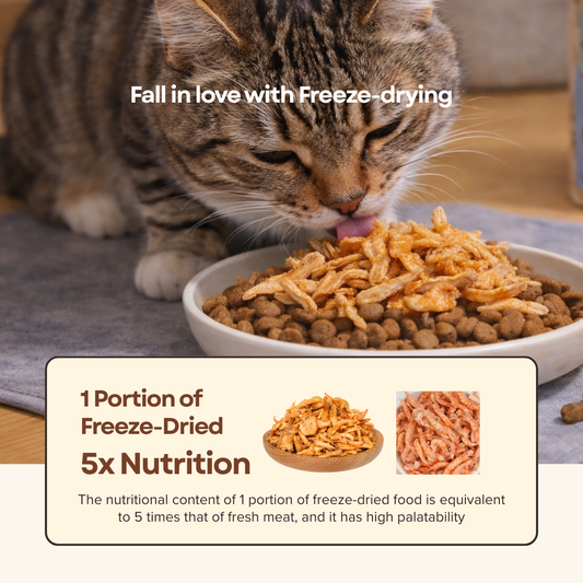 Premium Omega Krill Freeze Dried Pet Food Snacks Treat Cats & Dogs Doo Pets Doopets Dry Good Quality