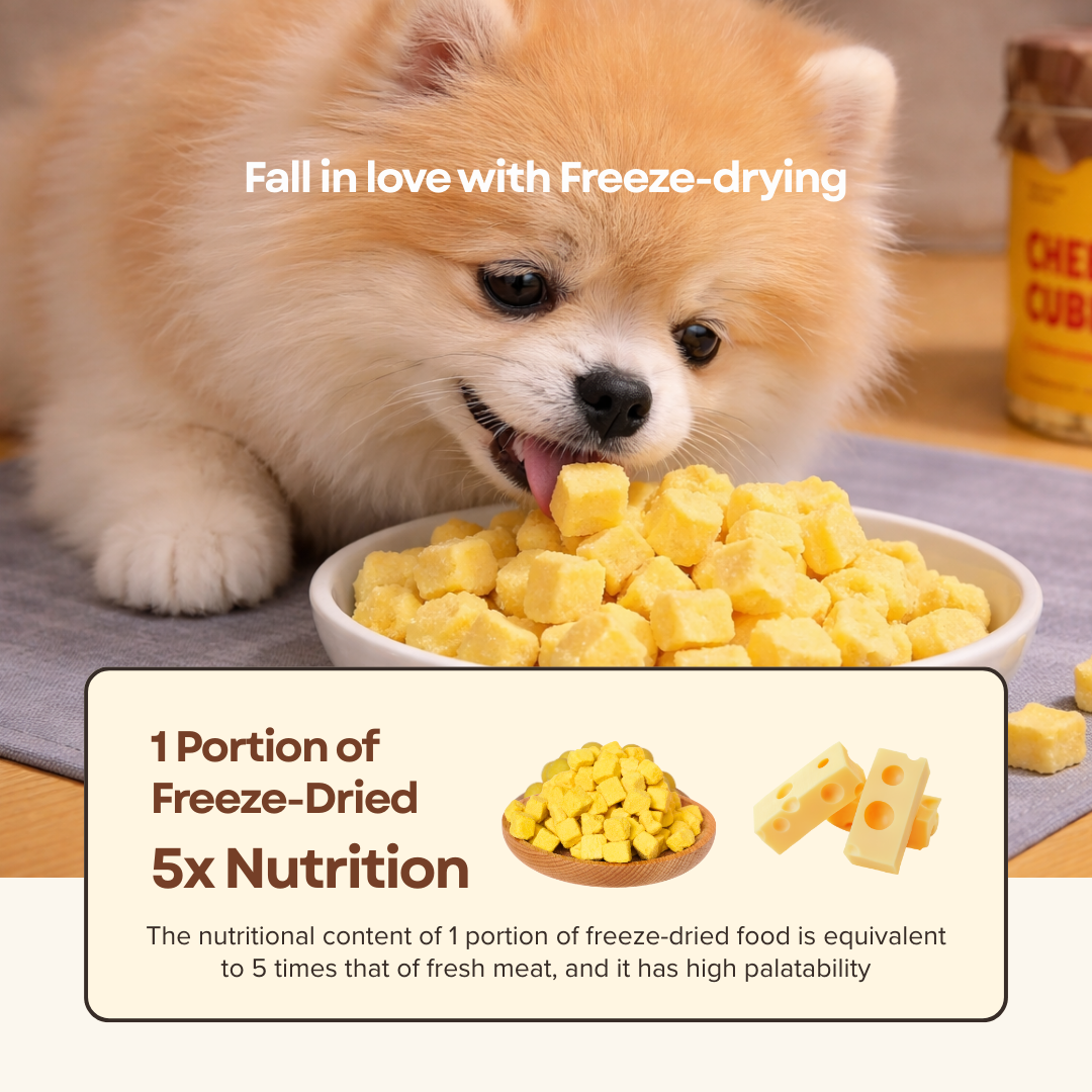 Cheese Cubes