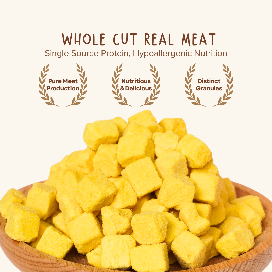 Cheese Cubes