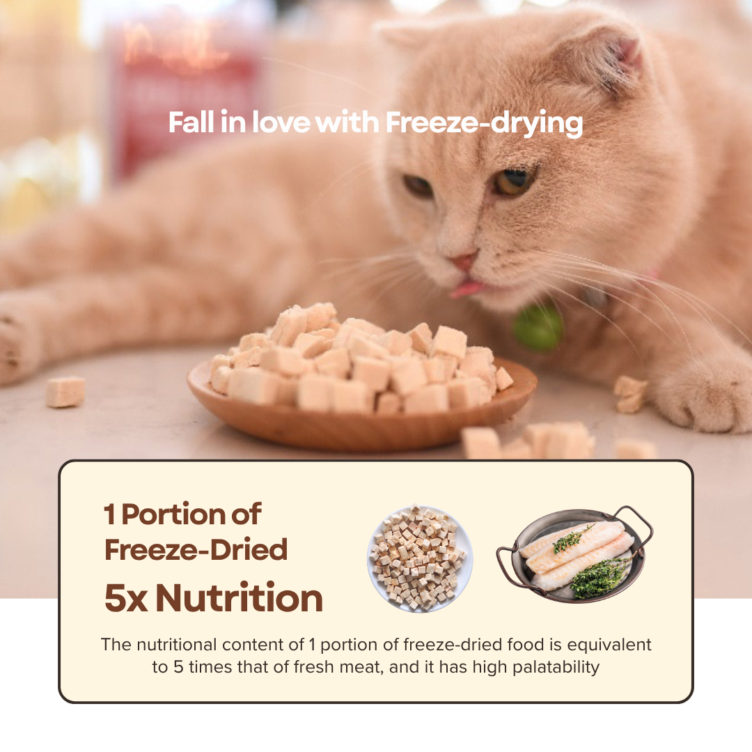 Premium COD Fish Cubes Freeze Dried Pet Food Snacks Treat Cats & Dogs Doo Pets Doopets Dry Good Quality