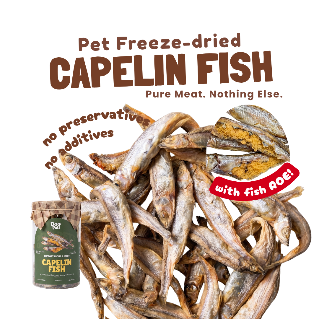 Premium Capelin Fish Freeze Dried Pet Food Snacks Treat Cats & Dogs Doo Pets Doopets Dry Good Quality