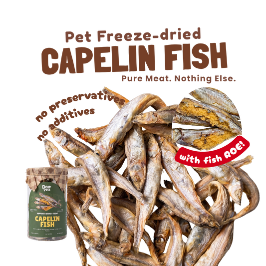 Freeze Dried Capelin Fish
