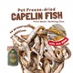 Premium Capelin Fish Freeze Dried Pet Food Snacks Treat Cats & Dogs Doo Pets Doopets Dry Good Quality