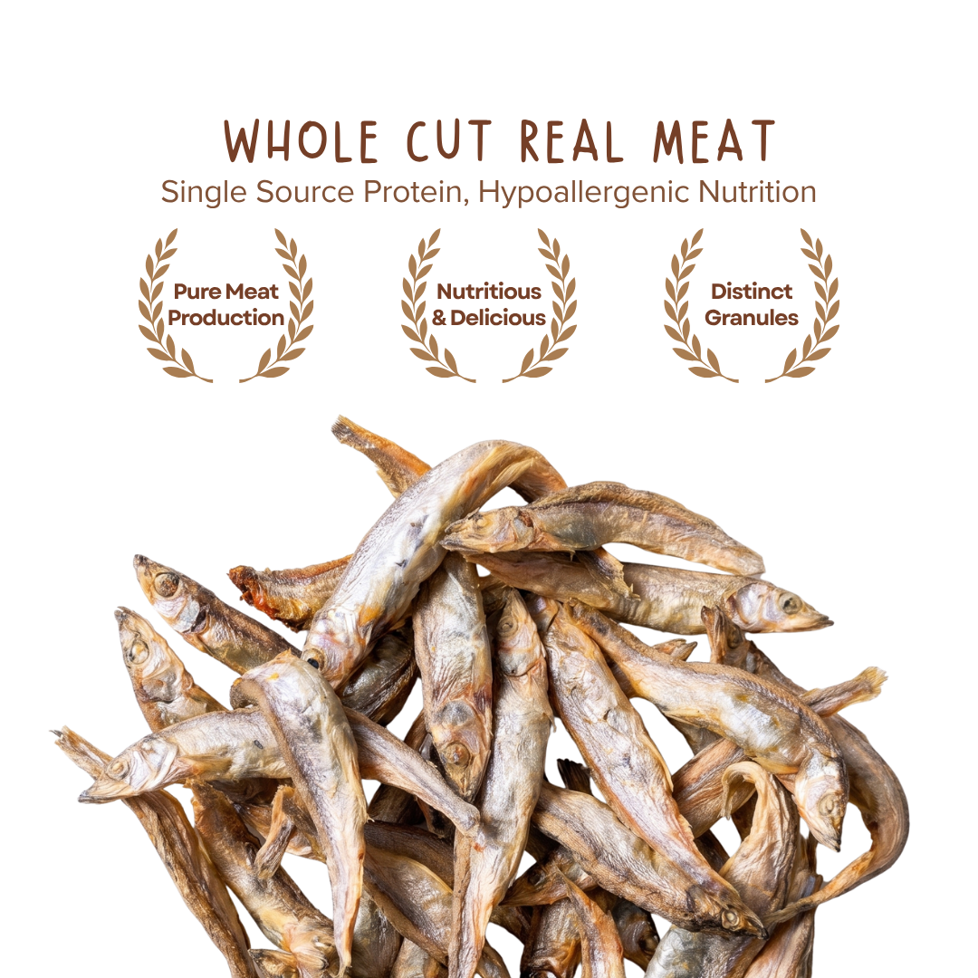 Premium Capelin Fish Freeze Dried Pet Food Snacks Treat Cats & Dogs Doo Pets Doopets Dry Good Quality