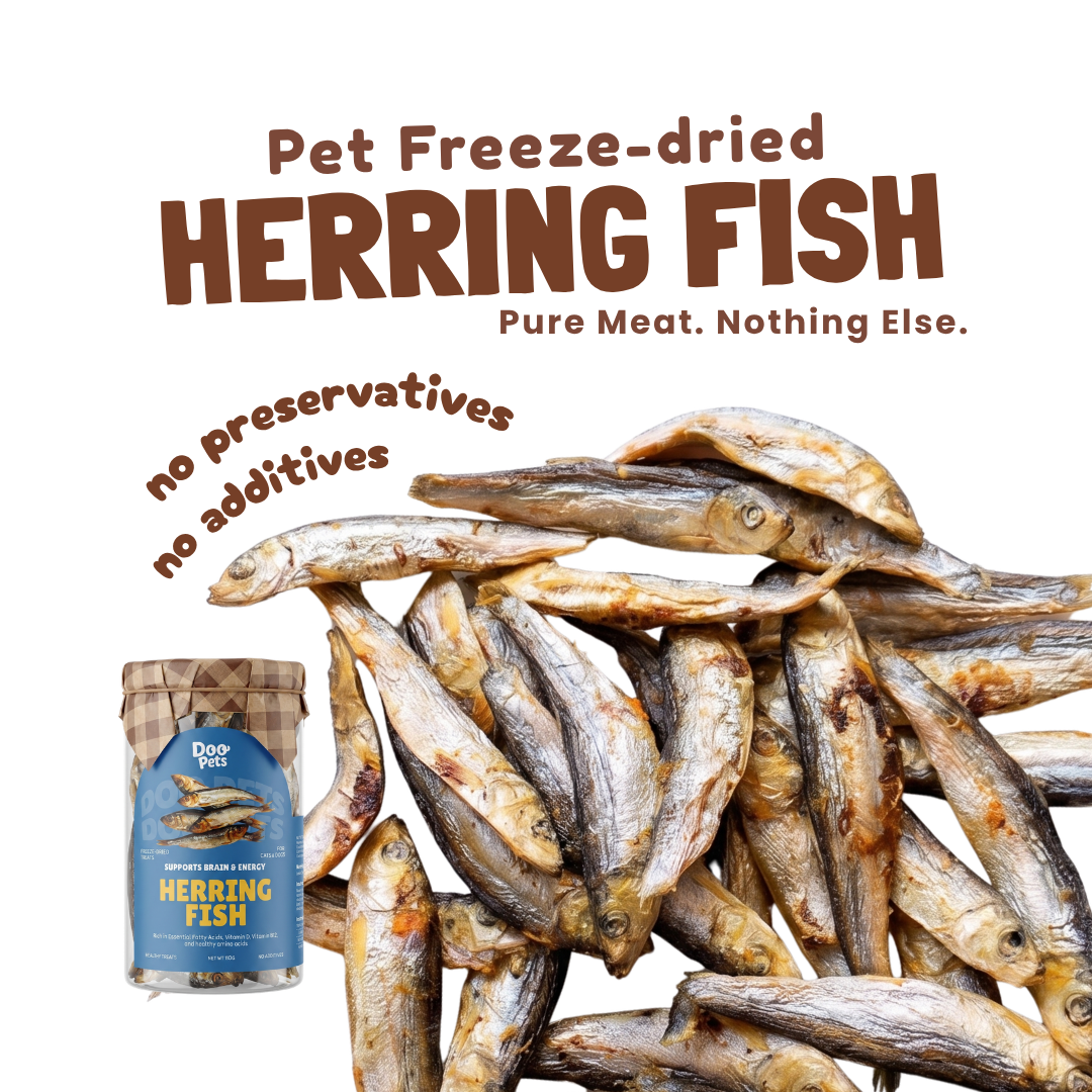 Premium Herring Fish Freeze Dried Pet Food Snacks Treat Cats & Dogs Doo Pets Doopets Dry Good Quality