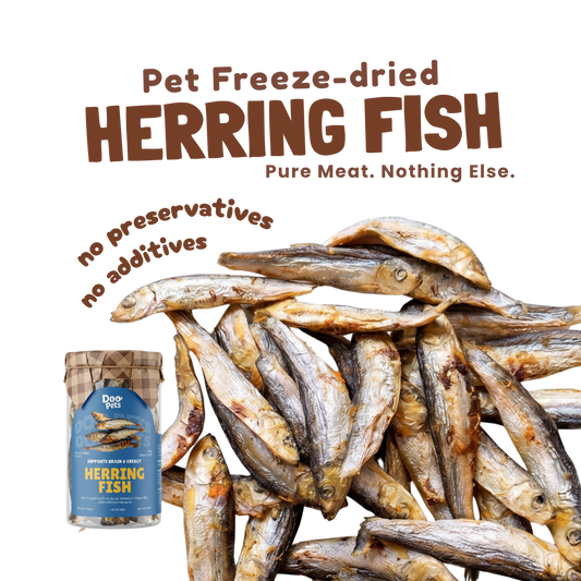 Freeze Dried Herring Fish
