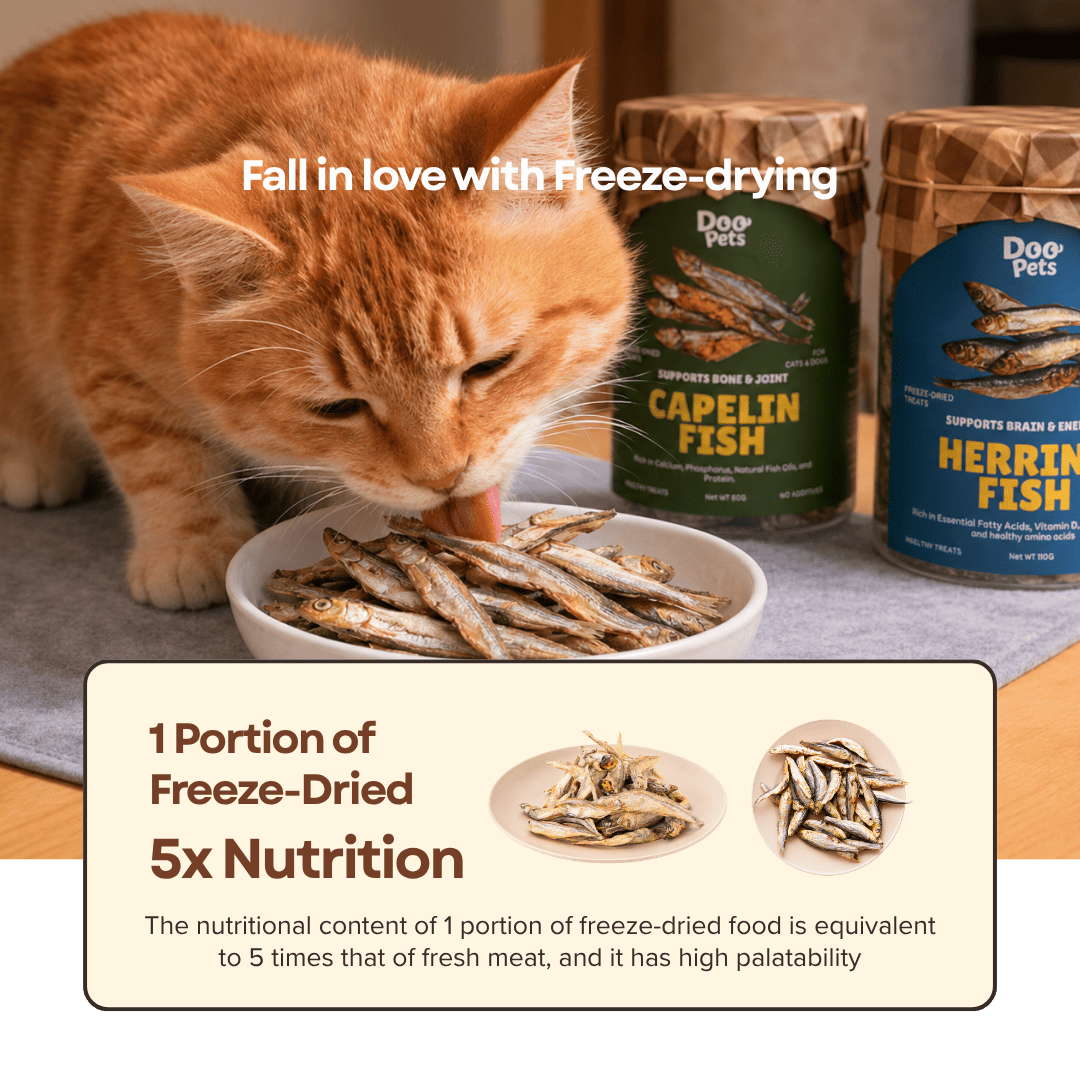 Premium Herring Fish Freeze Dried Pet Food Snacks Treat Cats & Dogs Doo Pets Doopets Dry Good Quality