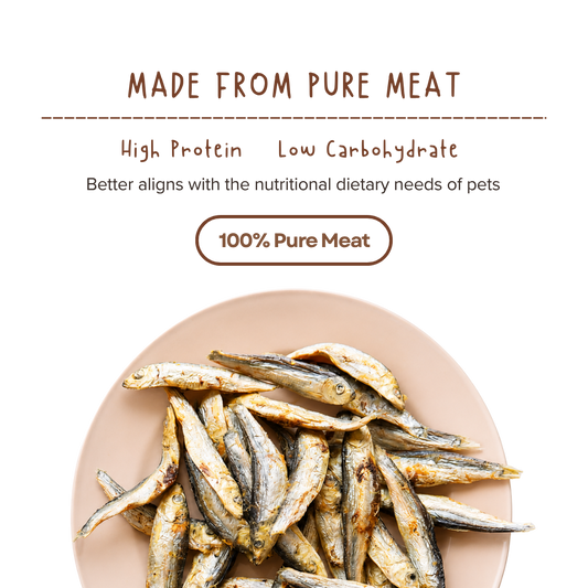 Freeze Dried Herring Fish