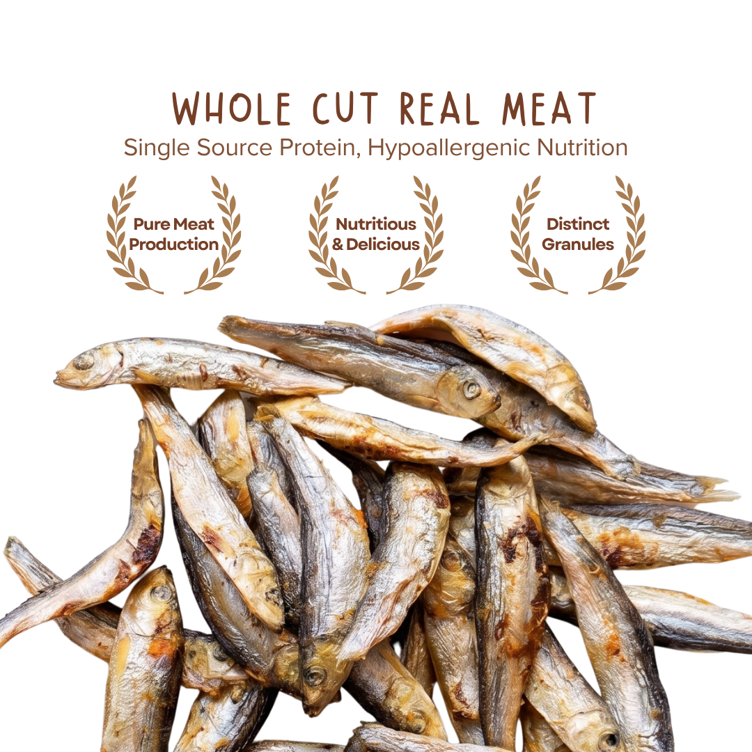 Premium Herring Fish Freeze Dried Pet Food Snacks Treat Cats & Dogs Doo Pets Doopets Dry Good Quality