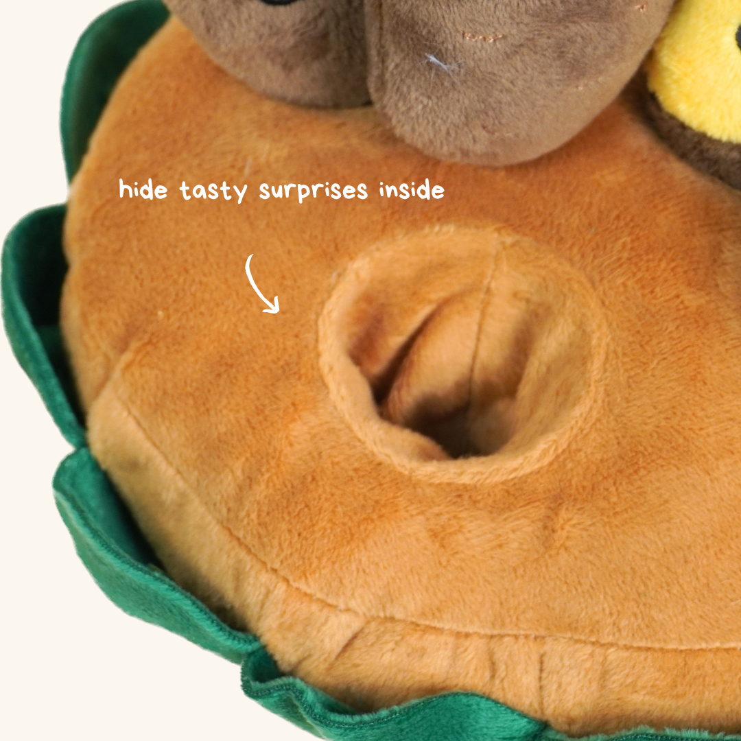 The Sweet Potato Farm