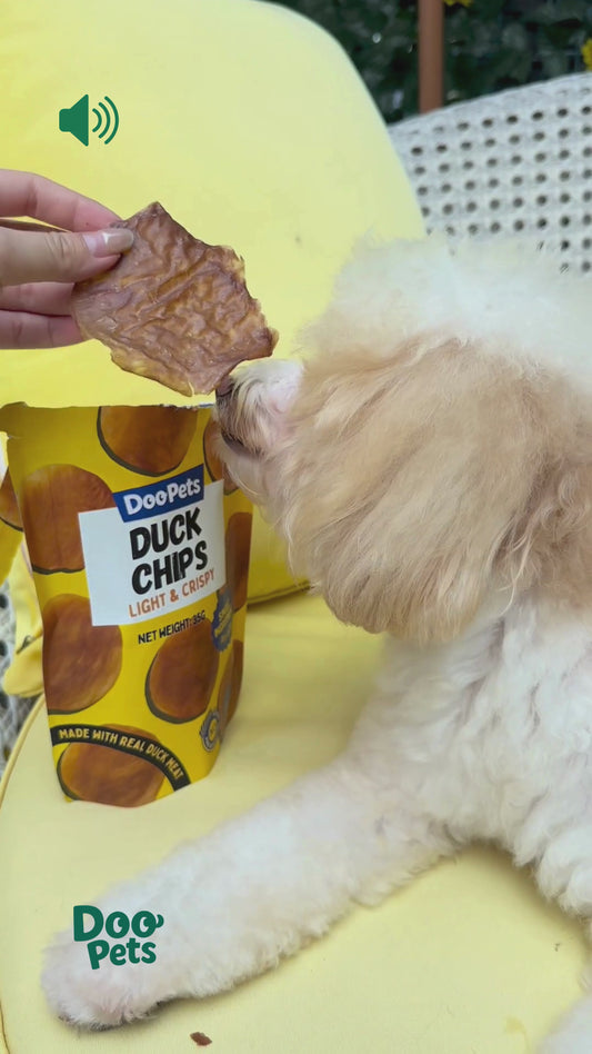 Duck or Chicken Protein Chips